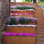 Casa Do Corral דירה *